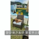 [양양 애견동반 펜션 ] 양양애견동반 옐로우스탑 펜션 잔디마당과 조용한 휴식 공간