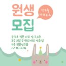돌샘어린이집 이미지