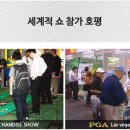 티레젠