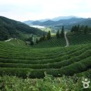 상사보건지소 이미지