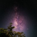 카페소셜랩 | "2023년 완벽 가이드! 다이슨 할인 코드 받는 법과 에어랩 싸게 사는 법"