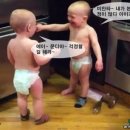 모리 이미지
