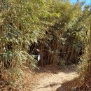 솔바다펜션민박 이미지