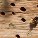 이코노미호텔 명동 프리미어점 이미지