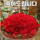 지소현 (강원수필문학회 회장)/대한민국 장애인 문화예술대상(문체부 장관상) 이미지