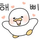 몽개구름 애견유치원 네이버블로그