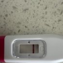 수정-62 | 인공수정 4차성공/배란10일~18일 늦은배란,착상 임테기 피검수치