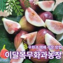 대불농장 이미지