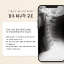 모란이비인후과의원 이미지