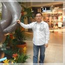 휴먼건설 주식회사 Daum카페
