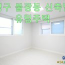 녹번-006 Daum카페