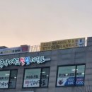 국가대표 별빛 태권도장 이미지