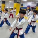 지평 태권도장 이미지