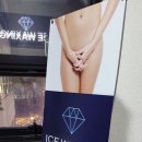 스노우브로우