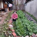 고려이용소