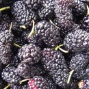 (주)오디 이미지