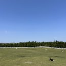 교래손칼국수 이미지