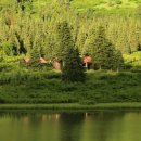 물들어간다는 것은 이미지