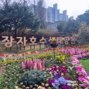 장자호수공원 | 구리 벚꽃 시즌 장자호수공원 산책 후기