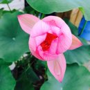 주빈농장 이미지