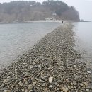 내파수도 Daum카페