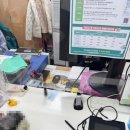 성산2동 주민센터 이미지