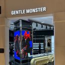 &#34;젠틀몬스터 신세계백화점 대전점&#34; 젠틀몬스터 에고01 착샷 후기 만족도 (쿠보 에고 안나)