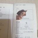 바우동물병원 이미지