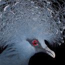 gc-camera-040 이미지