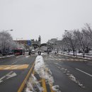 단국대 진입로 | 2025. 단국대학교, 단국대 수시등급, 예비후보, 커트라인, 학생부교과,학생부종합 전형, 입결!!!