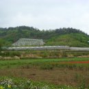 수야농장 이미지