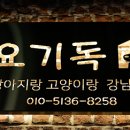 요기소