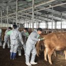 한우연구소 이미지