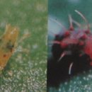 (주)바른약품 이미지