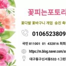 꽃피는포토리아