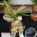 노은1동주민센터 이미지