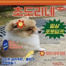 여수전남병원 | [일상포토덤프] 블챌 / 7월 2째주 시작 / 여수전남병원방문