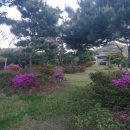 영산홍민박 이미지