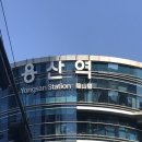 신북농협사북지소 | [춘천당일치기] 해피초원목장/토담숯불닭갈비/신북커피/감자밭/육림랜드