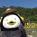 펀키즈유치원 이미지