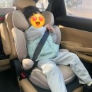 주니어카시트 시기 언제부터? 싸이벡스 솔루션T 후기