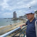 조동일 [한일관계의 대등생극] 10) 차등론과 대등론 : 지눌-수심결, 親鸞(신란)-敎信行證, 부처-＞초탈의경지, 사천왕-＞위력을과시 이미지