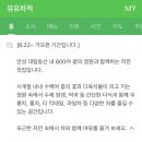 안성 공도 카페_ 유유차적