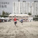 강경황산초등학교 이미지