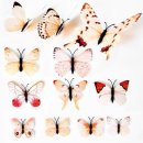 에이치데코 이미지