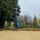 [도쿄여행] 도쿄 해리포터 스튜디오 (덕후들 소원 풀고 온 후기🪄)