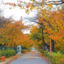 중랑천육교 이미지