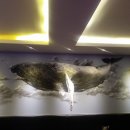 고래통닭 이미지