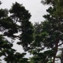 일타이피