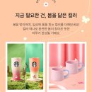 채널오렌지ss | [스타벅스 세일] 온라인 전용 "스프링 MD 페스타" 최대 50% 할인 총정리! (+스태카 플레이트 눈물의 후기😭)